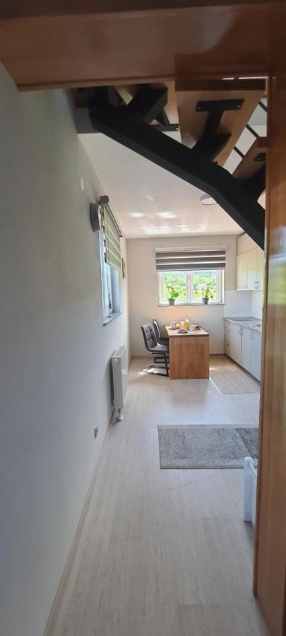 Apartmani Fenestra Tesla I Faust Otočac Esterno foto