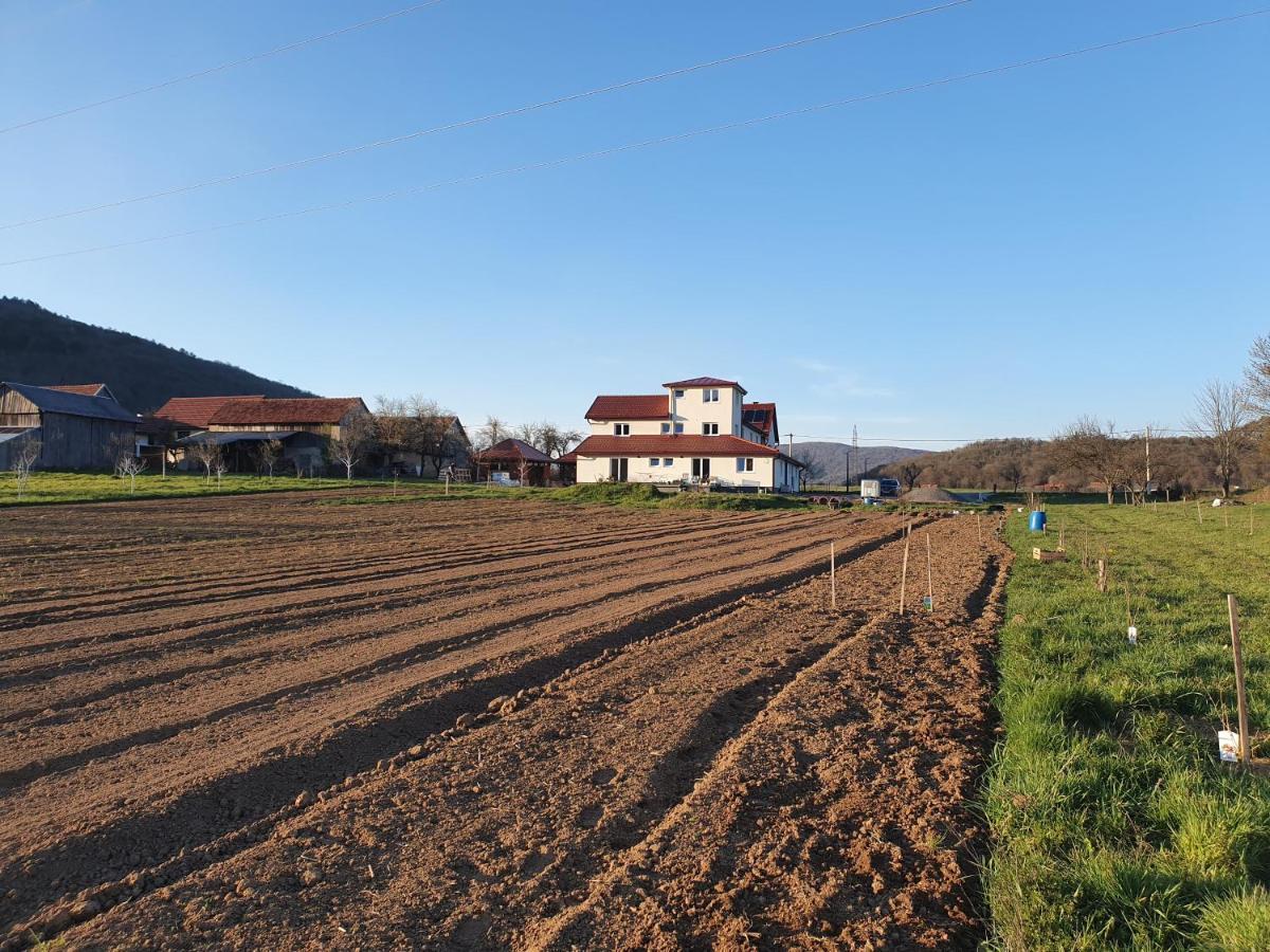 Apartmani Fenestra Tesla I Faust Otočac Esterno foto